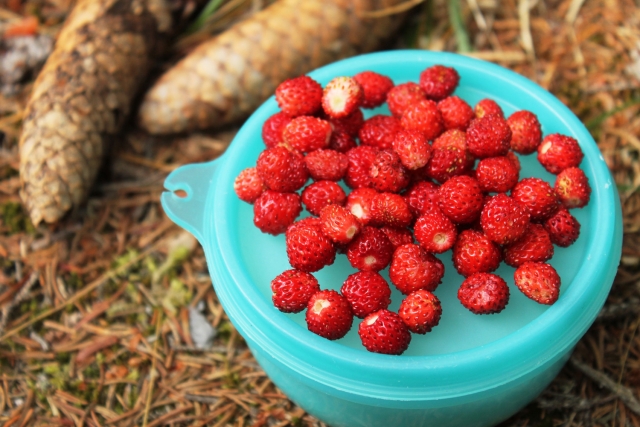 Dolomiten Hüttenwanderung