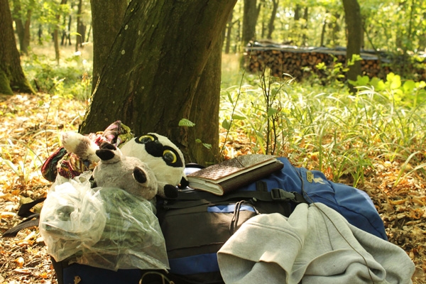 Niederösterreichische Jakobsweg