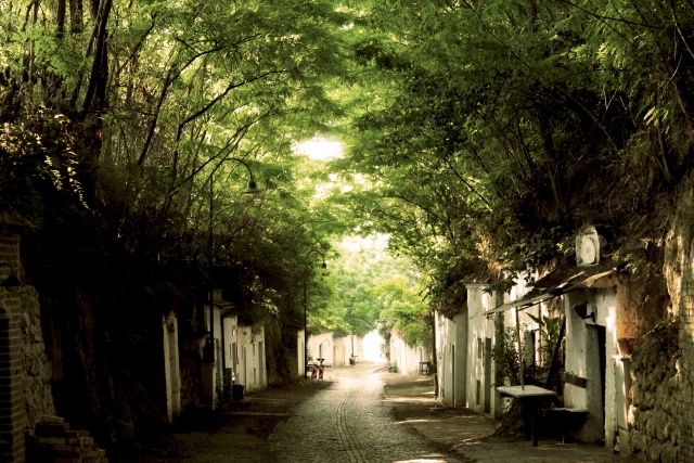 Niederösterreichische Jakobsweg