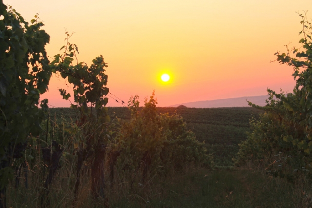 Niederösterreichische Jakobsweg