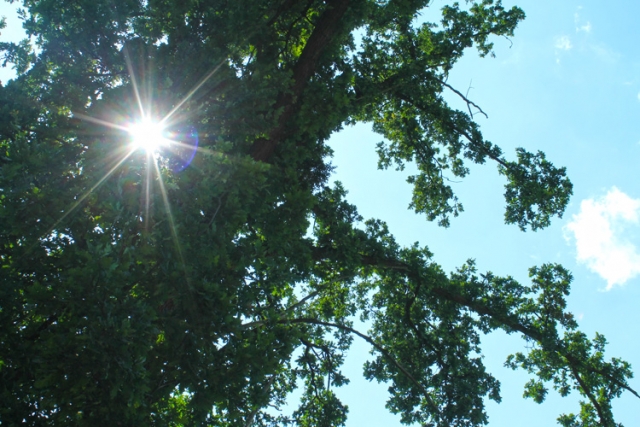 Niederösterreichische Jakobsweg