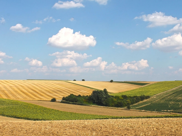 Niederösterreichische Jakobsweg