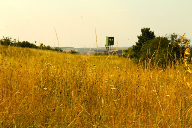 Niederösterreichische Jakobsweg
