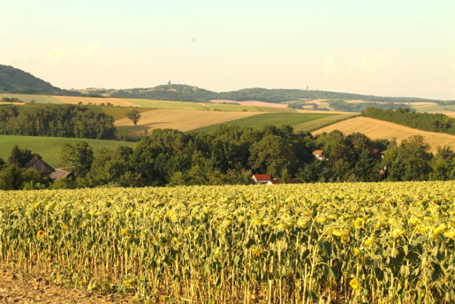 Niederösterreichische Jakobsweg