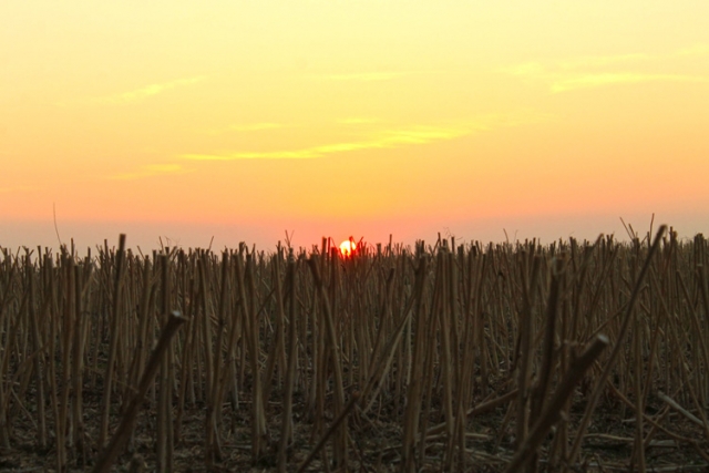 Niederösterreichische Jakobsweg
