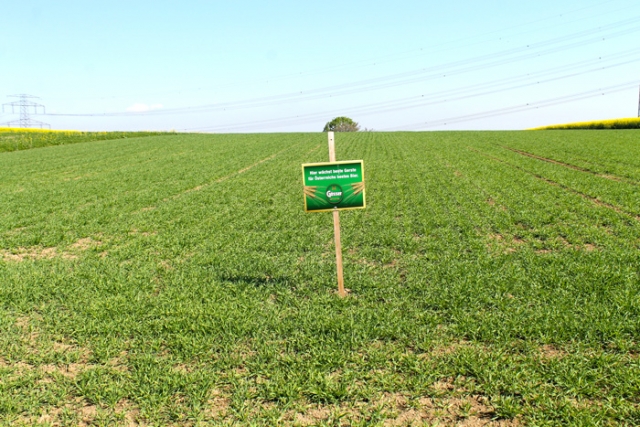 Niederösterreichische Jakobsweg