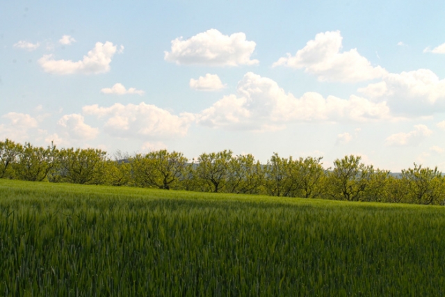 Niederösterreichische Jakobsweg