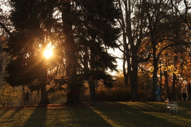 Türkenschanzpark - Laufstrecken in Wien