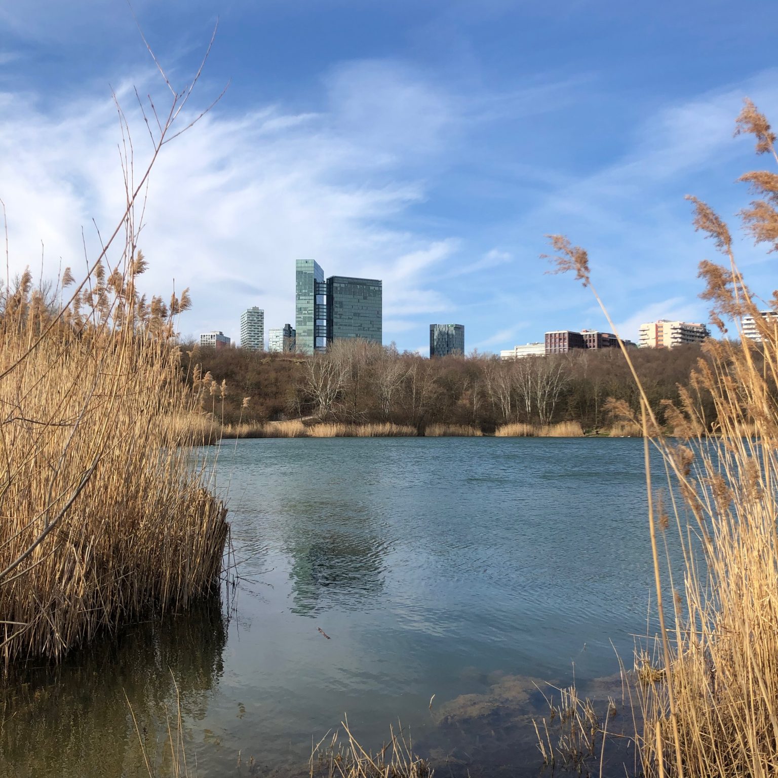 Einmal rund um Wien – Wandern am Rundumadum Weg – Oktotussi